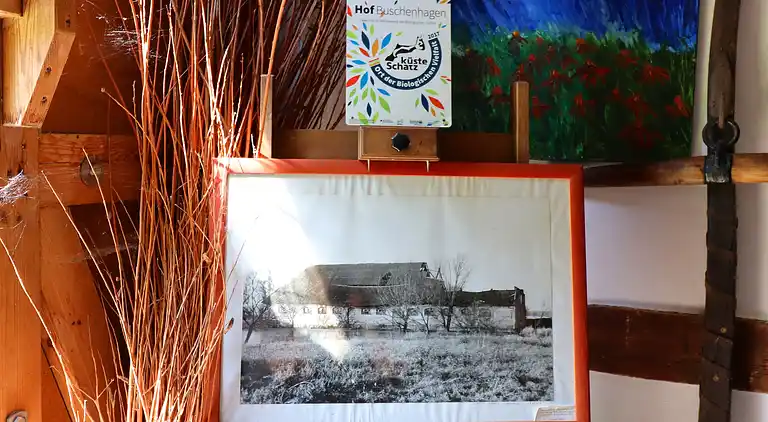 Apartment in Buschenhagen