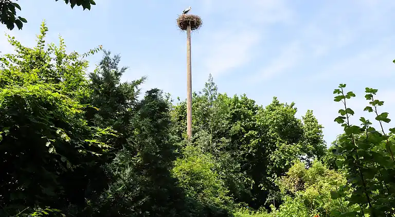 Ferienwohnung in Buschenhagen