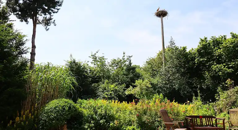 Ferienwohnung in Buschenhagen