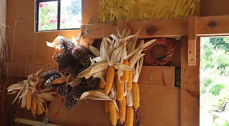 Apartment in Buschenhagen