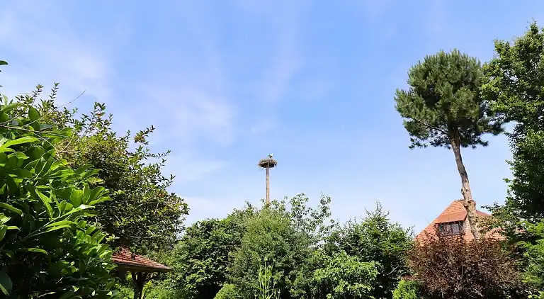 Ferielejlighed i Groß Kordshagen