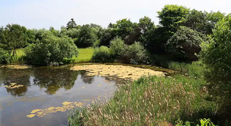 Apartment in Buschenhagen