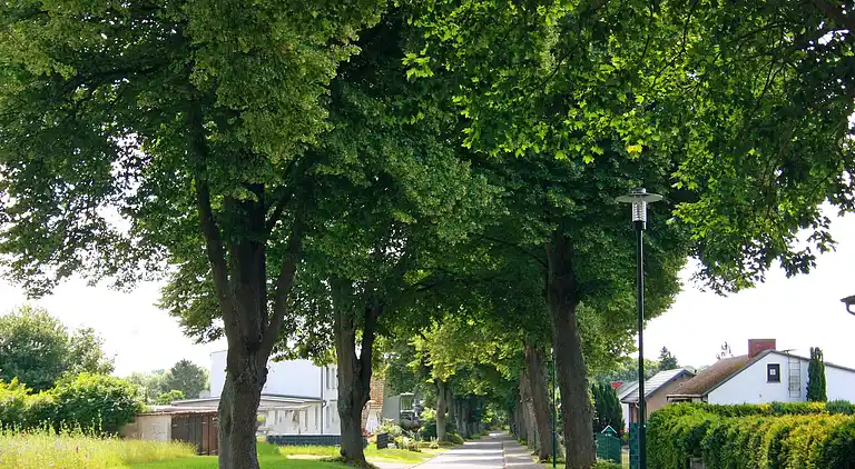 Apartment in Neubukow