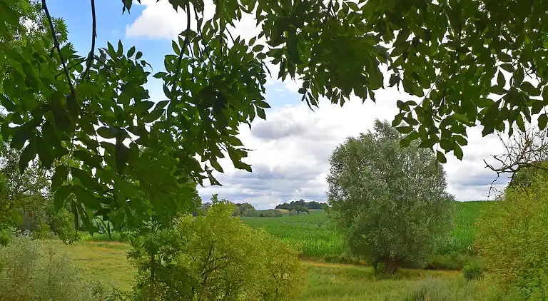 Apartment in Langhagen