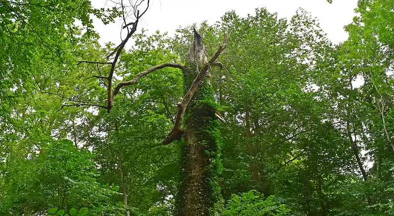 Apartment in Langhagen
