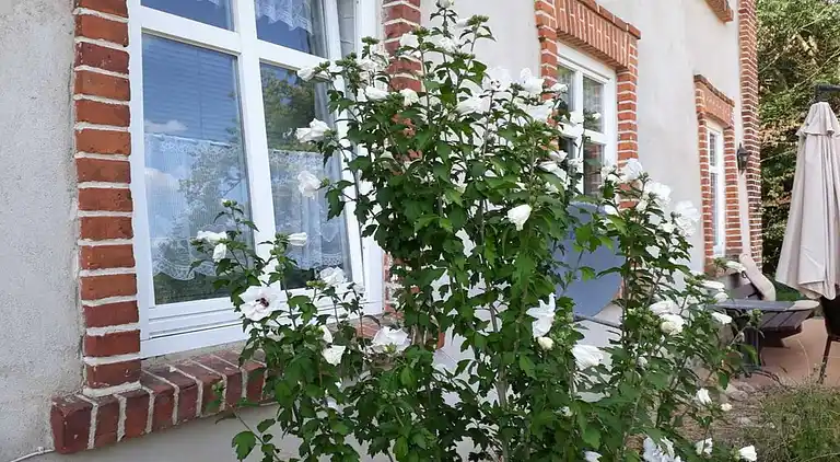 Apartment in Langhagen