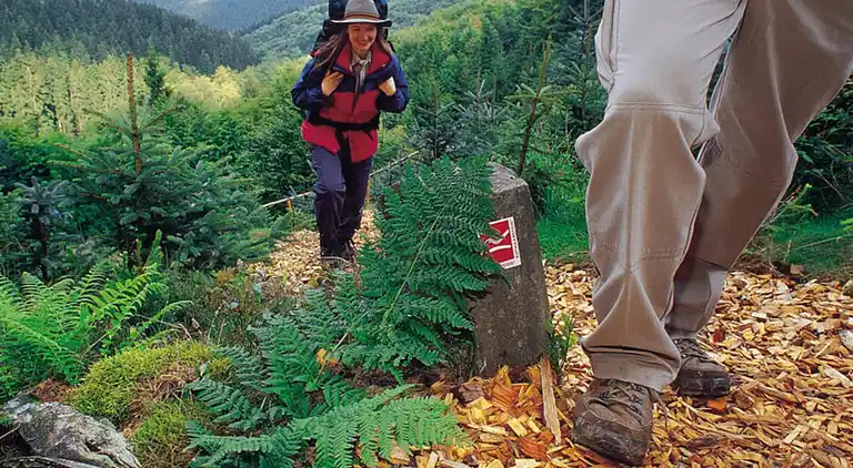 Holiday home in Brilon