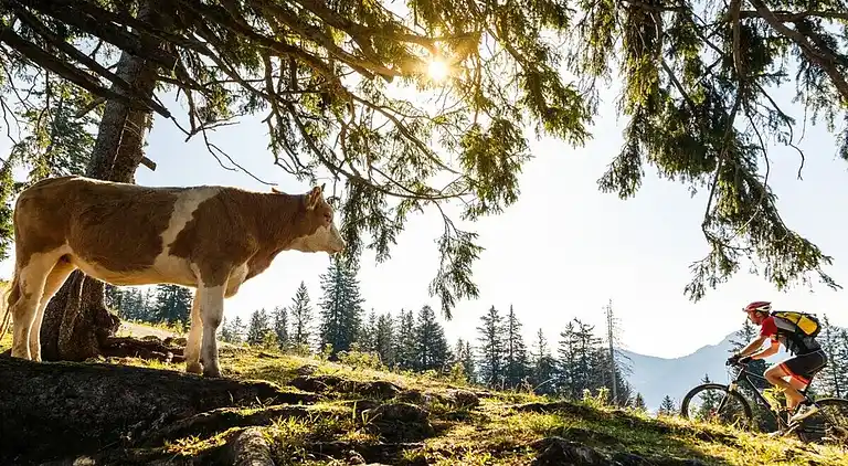Ferienhaus in Ruhpolding