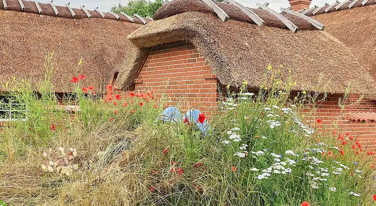 Vakantiehuis in Væggerløse