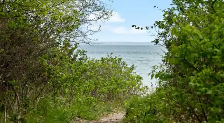Gemütliches Ferienhaus nur 200 m vom Strand