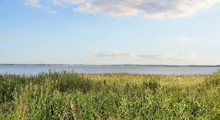 Casa vacanze in Ulfborg