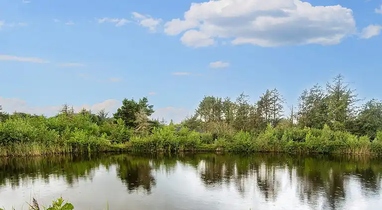 Ferienhaus in Lodbjerg Hede