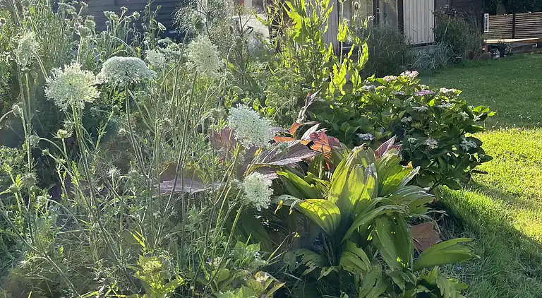 Schönes Ferienhaus in der Nähe des Limfjords