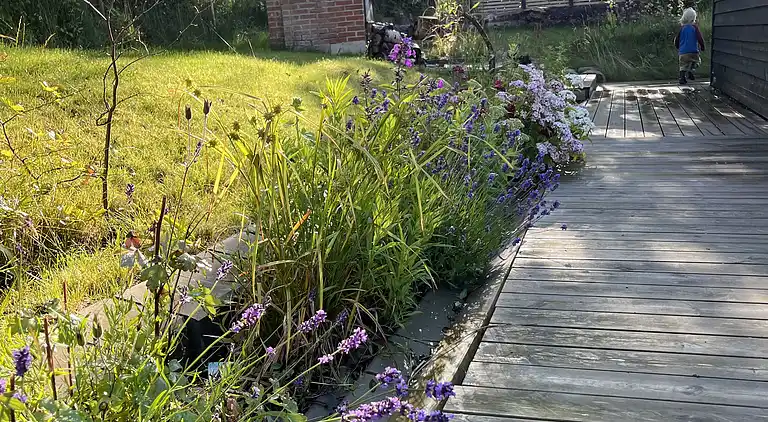 Schönes Ferienhaus in der Nähe des Limfjords