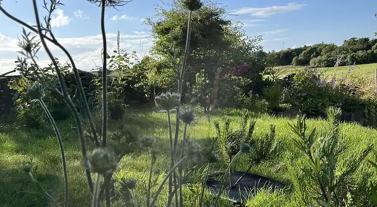 Schönes Ferienhaus in der Nähe des Limfjords
