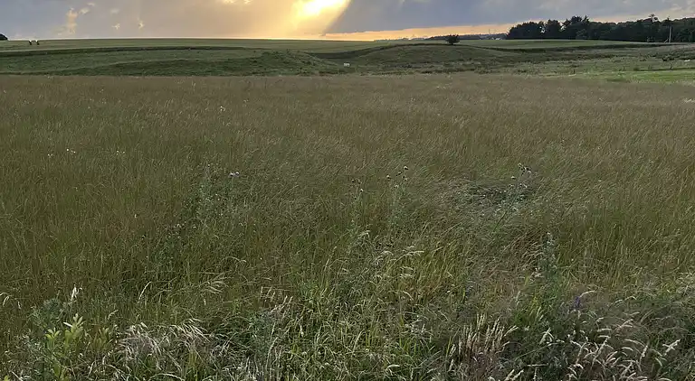 Schönes Ferienhaus in der Nähe des Limfjords