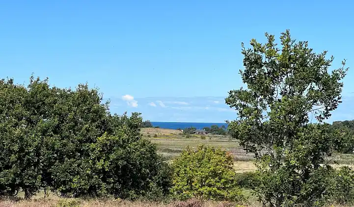 Ferienhaus nah an Natur und Strand