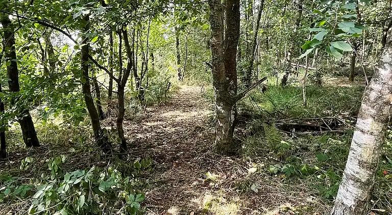 Holiday home in Lodbjerg Hede