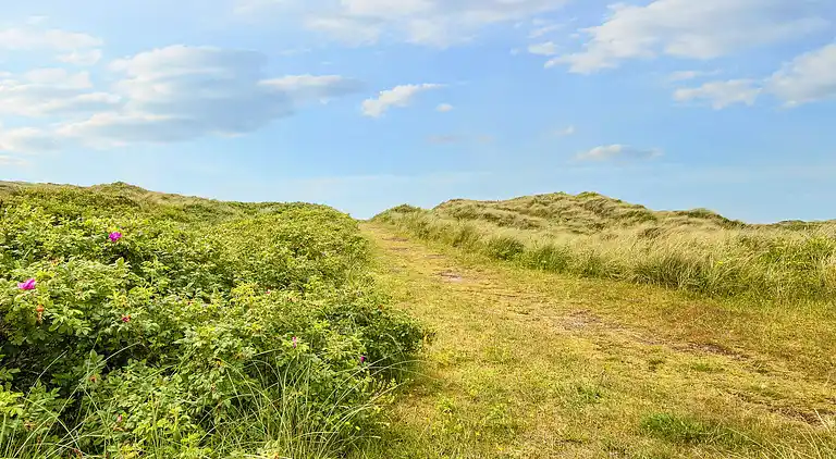 Holiday home in Hvide Sande
