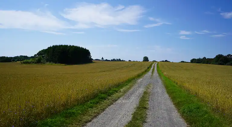 Moderne sommerhus med enestående havudsigt