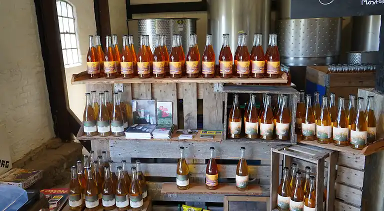 Moderne sommerhus med enestående havudsigt