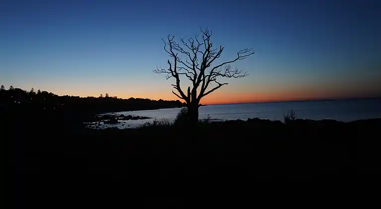 Moderne sommerhus med enestående havudsigt