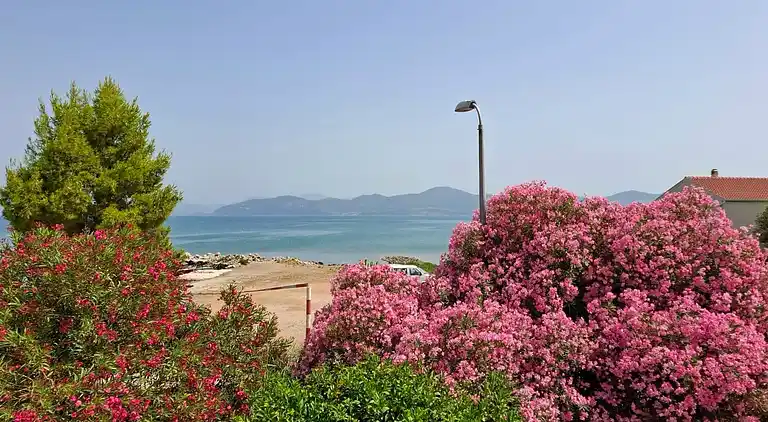 Two bedroom apartment near beach Drače, Pelješac (A-4550-a)