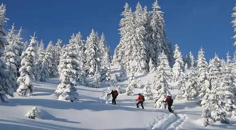 Lägenhet i Eisenerz