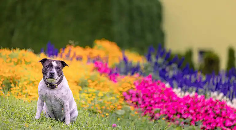 Lägenhet i Eisenerz