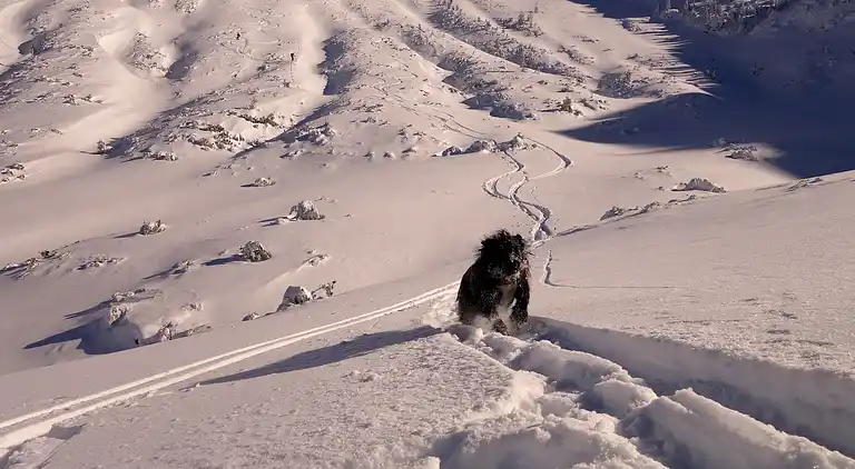 Lägenhet i Eisenerz