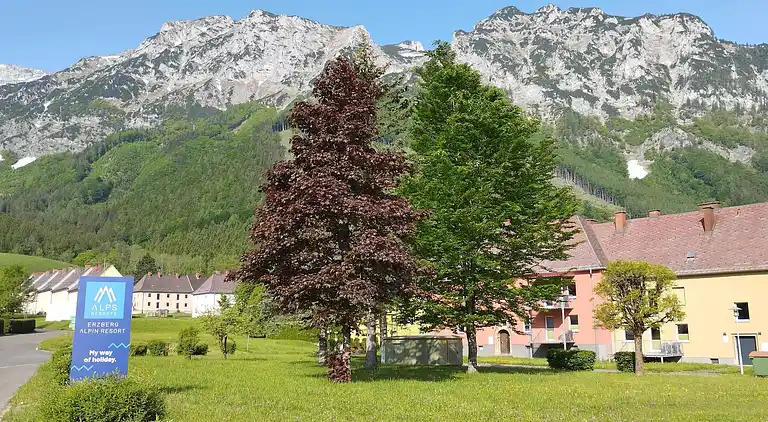 Ferienwohnung in Eisenerz