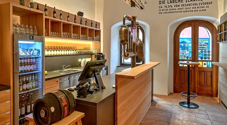 Sommerhus i Sankt Georgen ob Murau