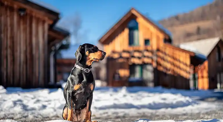 Sommerhus i Sankt Georgen ob Murau