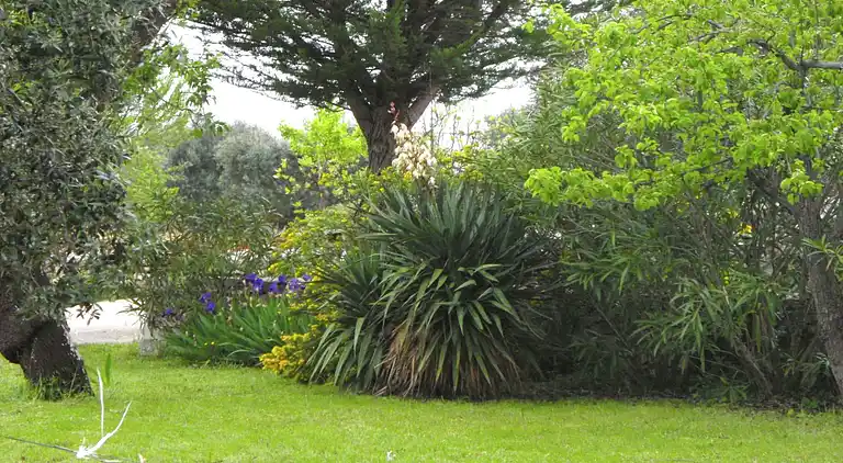 Cottage in Cisternino