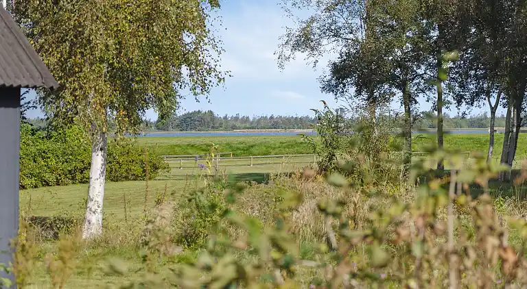 Dejligt sommerhus med kig til Limfjorden
