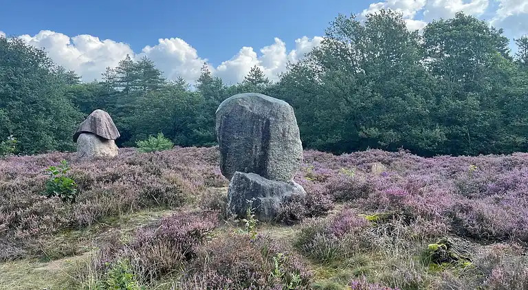 Vakantiehuis in De Kiel