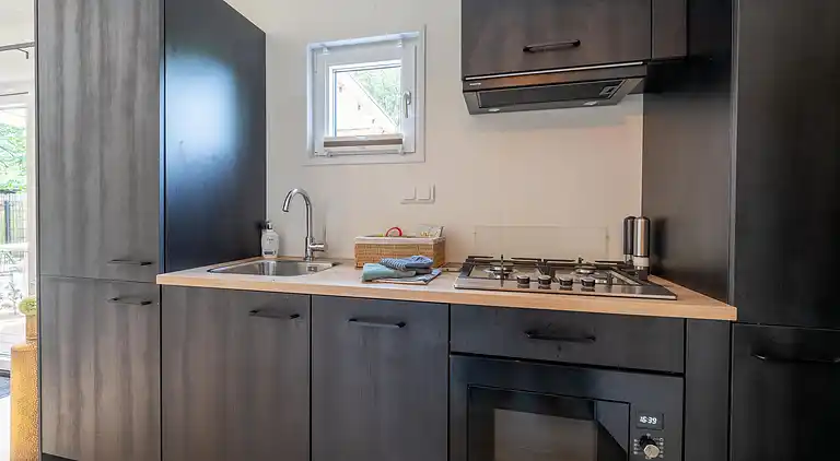 Vakantiehuis in Hattemerbroek