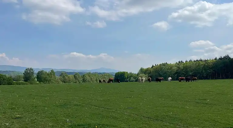 Holiday home in Kněžice
