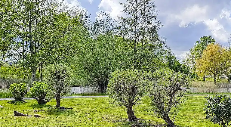Sommerhus i Otterndorf