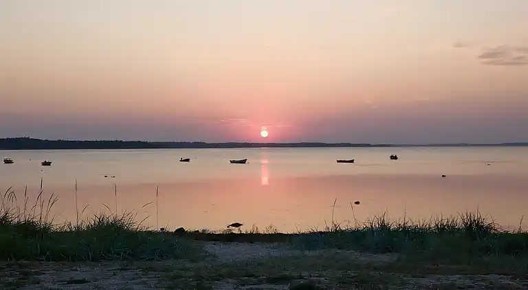 Hyggeligt sommerhus med fantastisk udsigt!