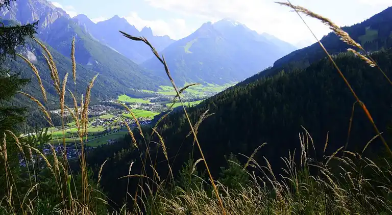 Ferienwohnung in Medraz