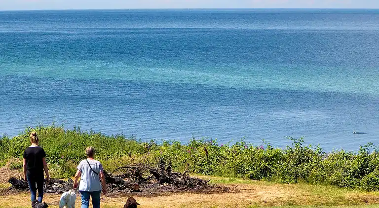 1 bad m/havudsigt,Standard