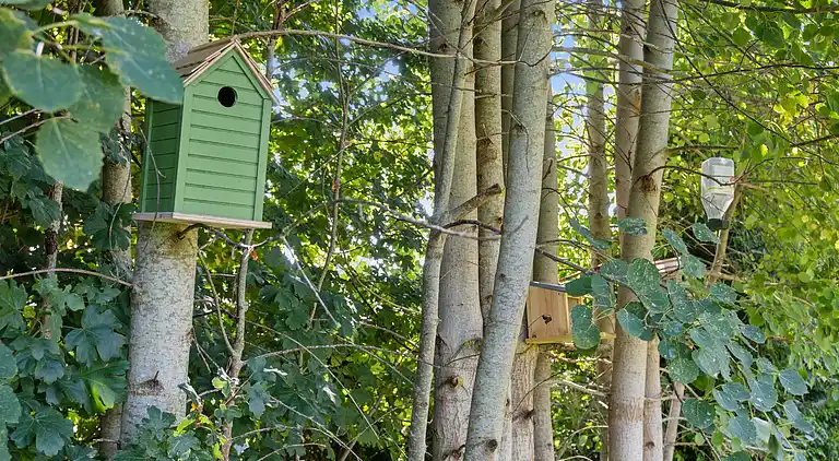 Schönes Ferienhaus in Marielyst