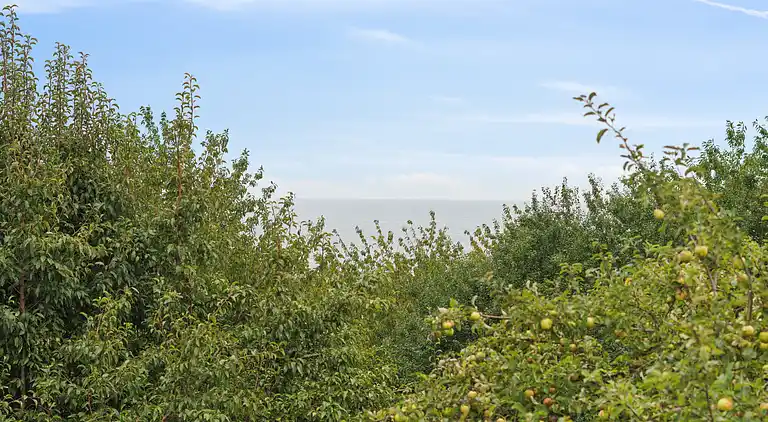 Hyggeligt og lyst sommerhus på Bornholm
