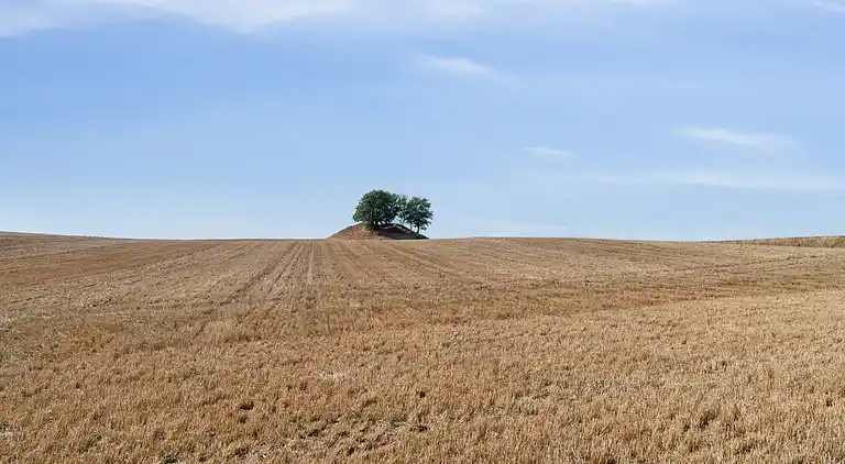 Hyggeligt sommerhus på Bornholm