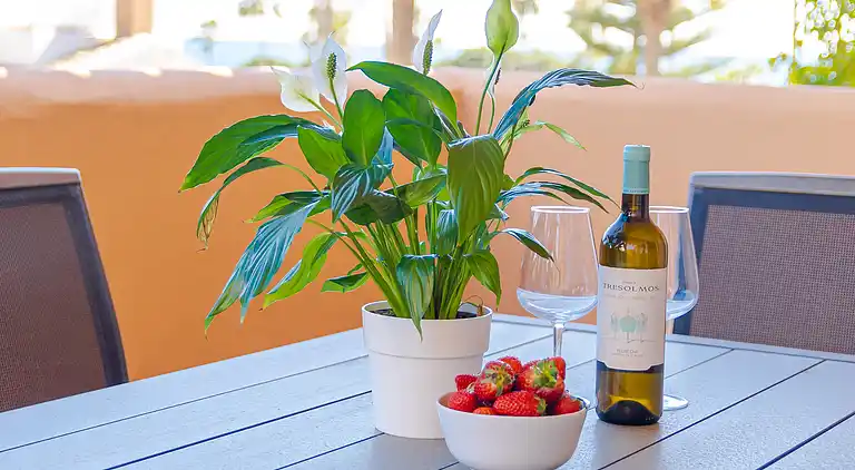 Lejlighed 80 m fra stranden