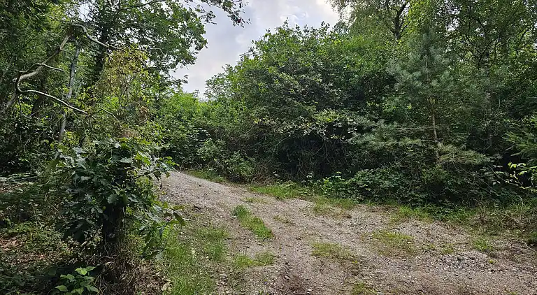 Charmantes, älteres Ferienhaus in der Natur