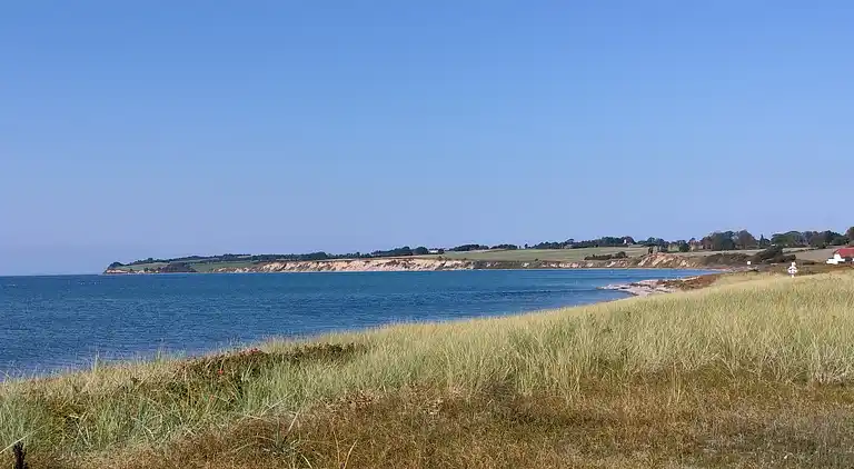 Udsigt til hav og natur i hyggeligt sommerhus