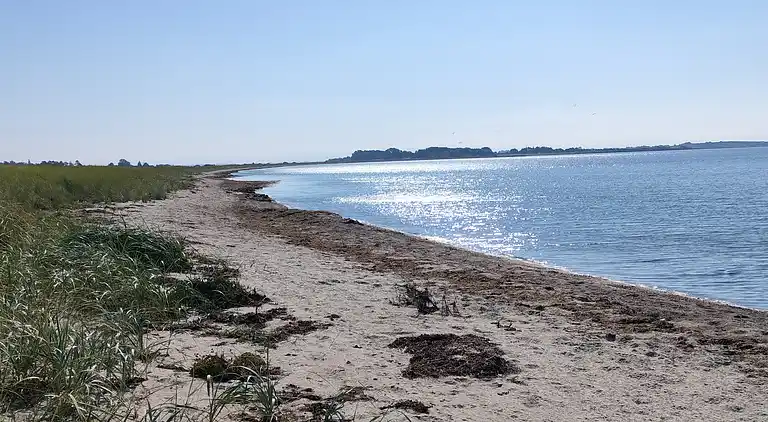Udsigt til hav og natur i hyggeligt sommerhus