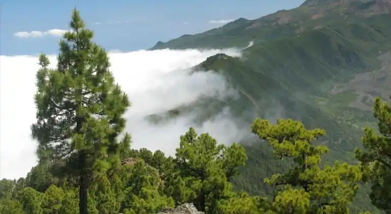 Emblematisches Haus in Santa Cruz de La Palma